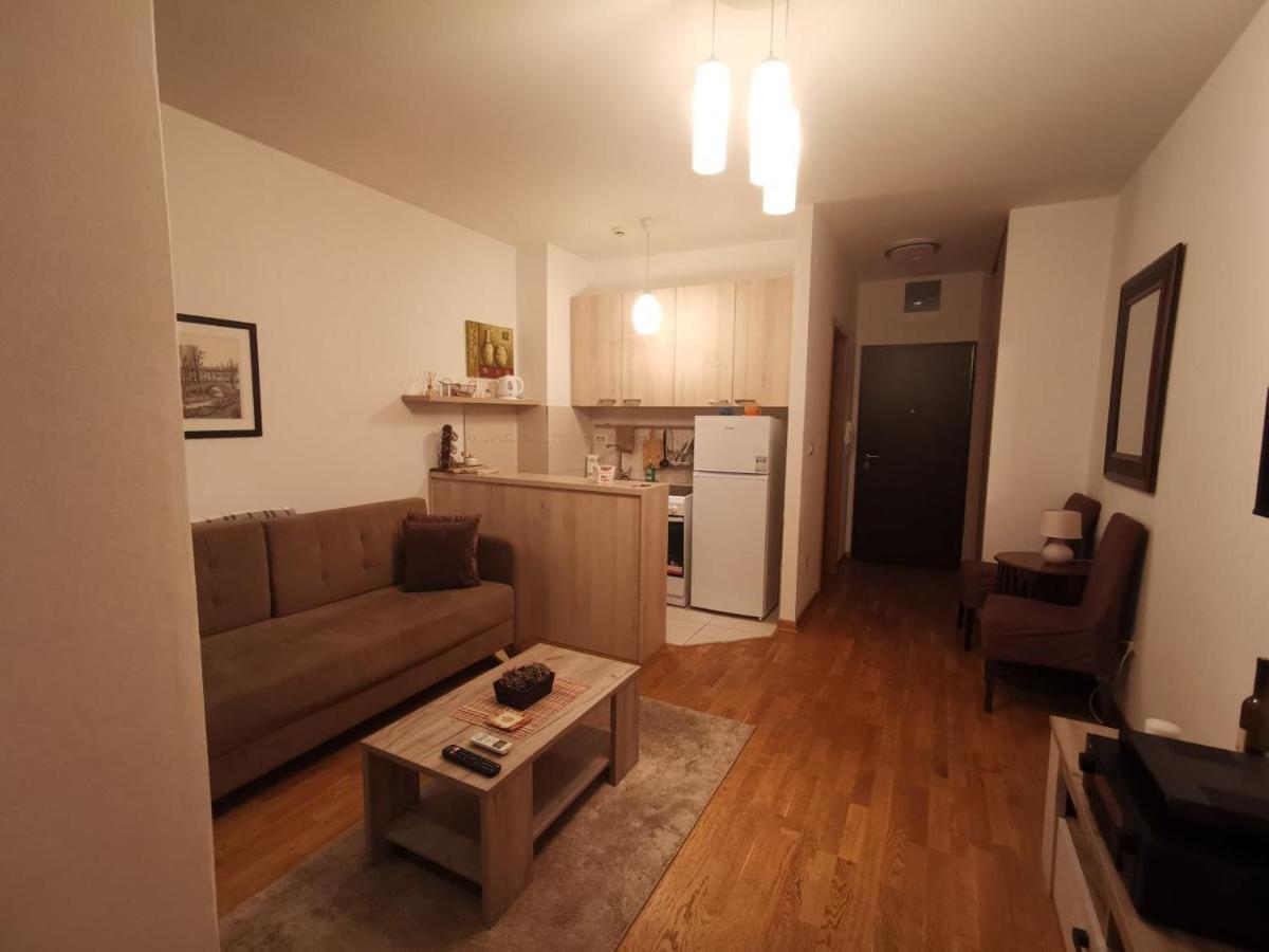 Delta Apartman بودغوريتْسا المظهر الخارجي الصورة