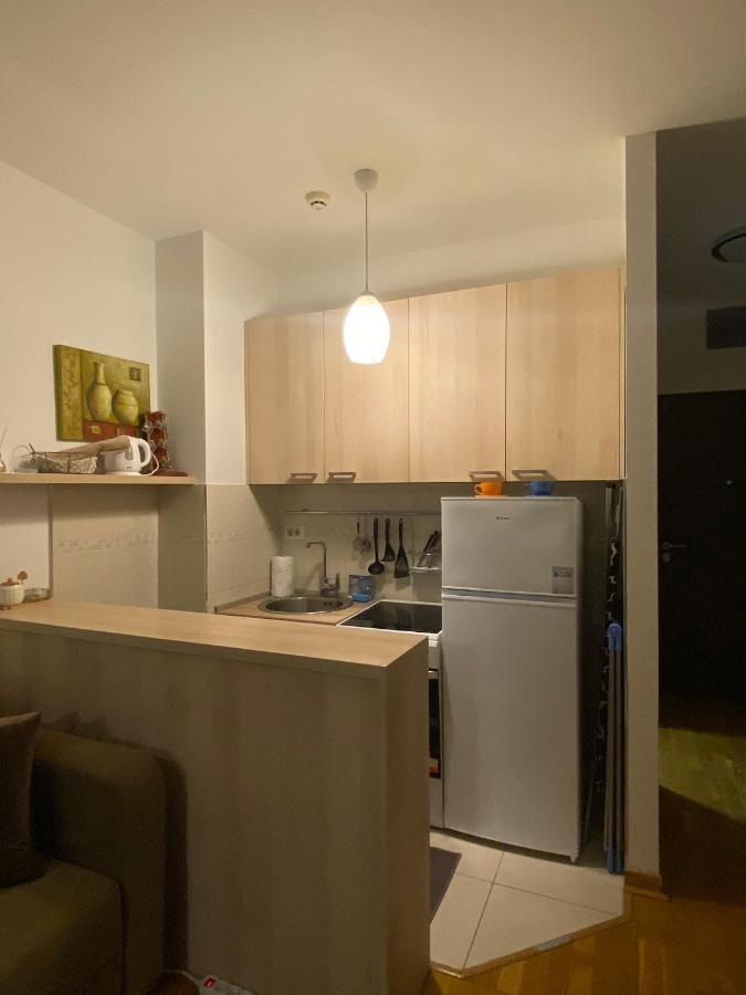 Delta Apartman بودغوريتْسا المظهر الخارجي الصورة